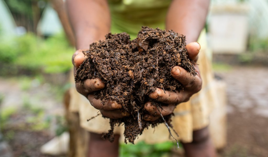 Two hands holding fresh soil on Príncipe Island.