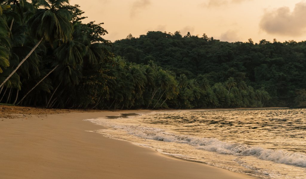 Descubra o verdadeiro carácter do Príncipe