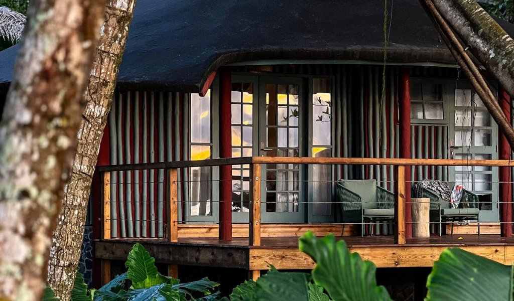 A bungalow surrounded by lush greenery at Bom Bom Beach Resort.