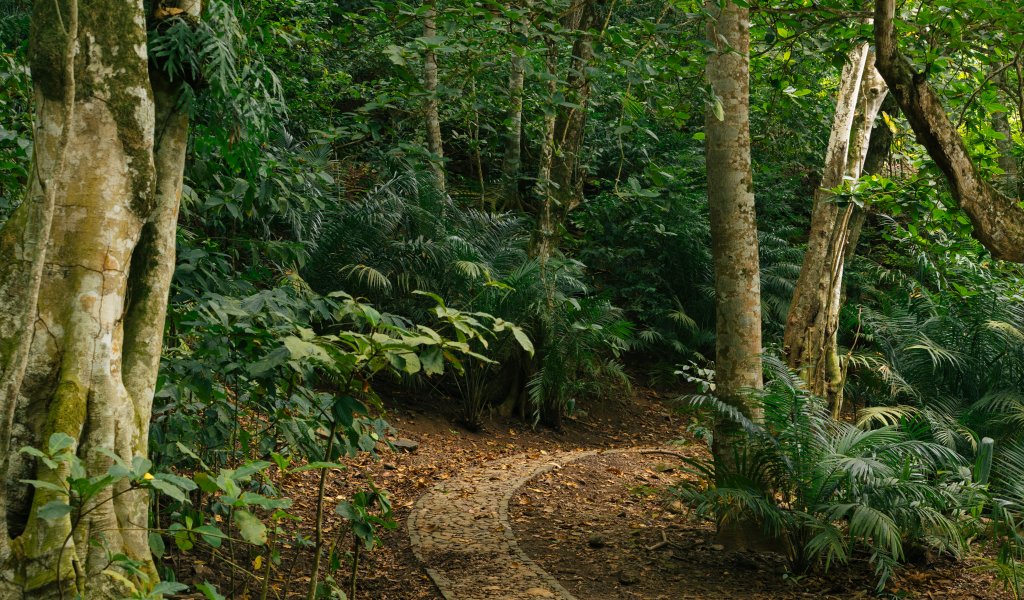 São Tomé and Príncipe’s Cultural Wonders: Discover Island Life through Local Experiences