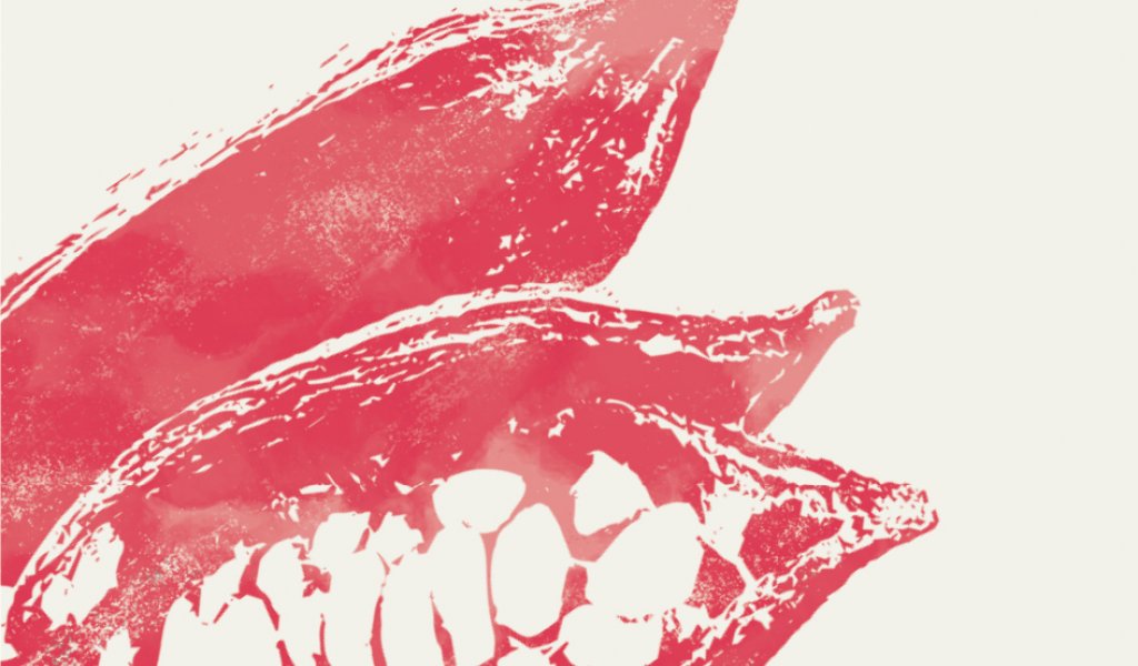 Artistic illustration of a red open cocoa fruit from the Príncipe Collection Hotels.