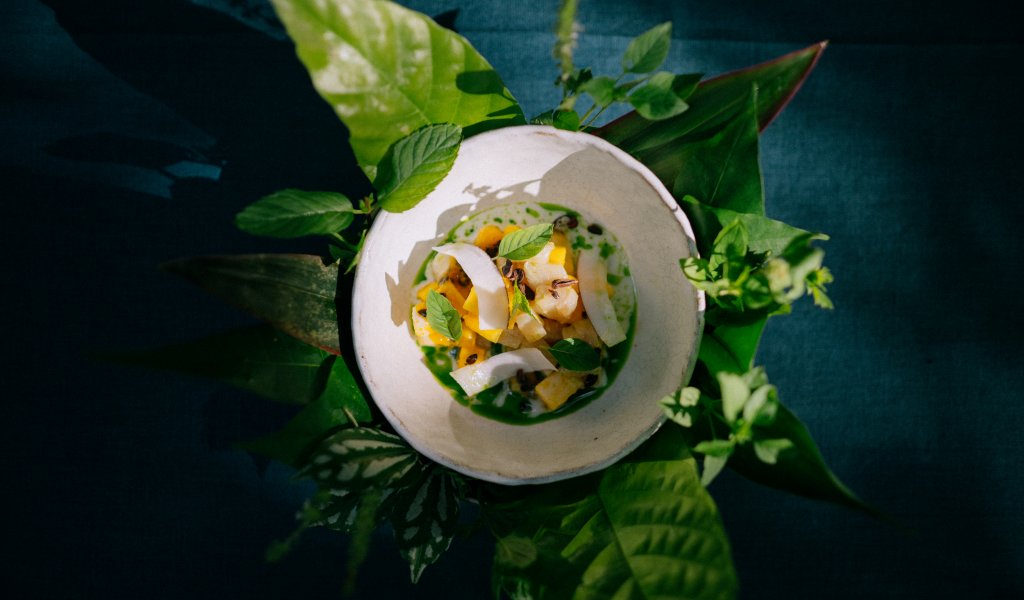 A Taste of São Tomé and Príncipe: Cacao Plantation Tours and Local Culinary Delights