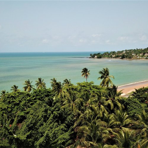 View over the beach of São Tomé Island with palm trees and crystal-clear water.