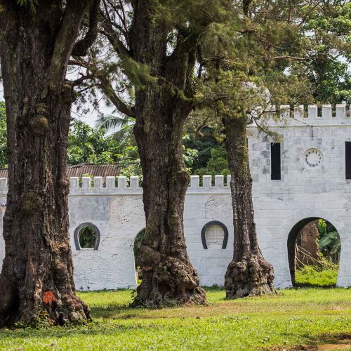 Ruins of an old stone building surrounded by lush greenery