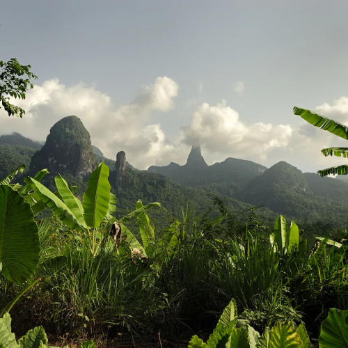 View of Príncipe’s volcanic peaks from a jungle path, visible through broad green leaves.