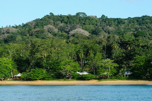 View from the sea of the empty beach and the forest in the background at Sundy Praia