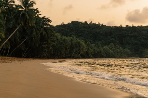 Descubra o verdadeiro carácter do Príncipe
