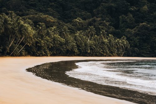 Praia tropical em curva junto a floresta de palmeiras perto de Bom Bom