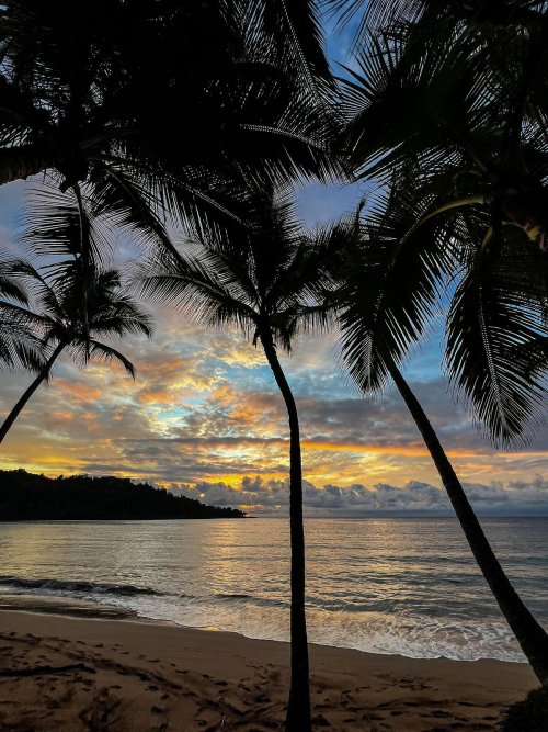 Sunset at the beach at Bom Bom Beach Resort.