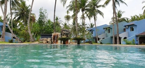 View from the pool at Omali, showcasing lush greenery and a peaceful atmosphere.