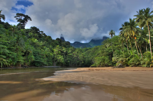 Wild beach backed by jungle, pristine sand and a calm river mouth.