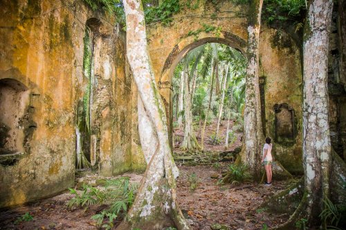 Mystic trail through the dense forest in Príncipe Island.