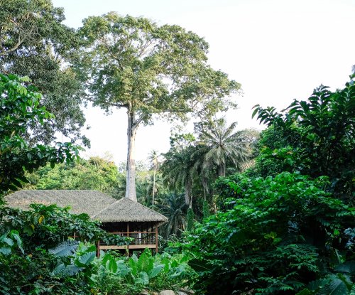 Aerial view of the reception house at Sundy Praia, nearly hidden by the lush rainforest vegetation.