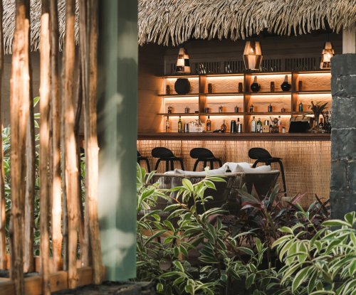 View of the thatched-roof bar through tropical foliage at Bom Bom Beach Club