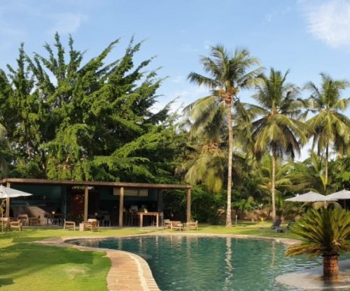 Garden view with lush greenery and outdoor pool at Omali