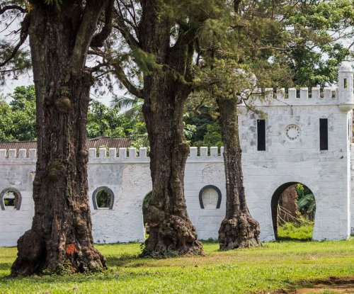 Ruins of an old stone building surrounded by lush greenery