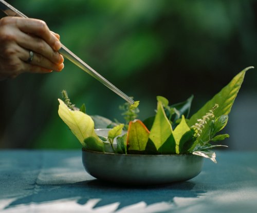 Prato de alta gastronomia apresentado numa mesa no restaurante OKA Sundy