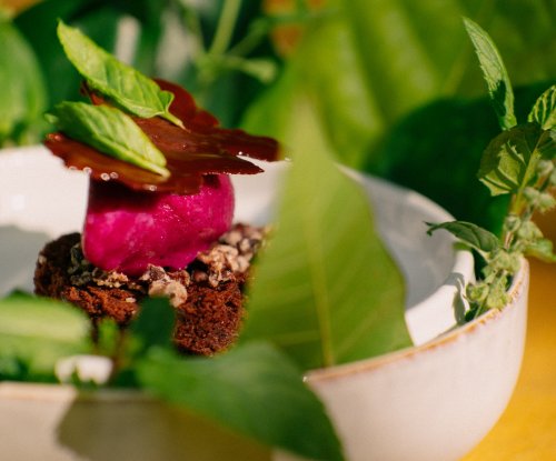 Sobremesa com sorvete rosa, guarnição de chocolate e ervas numa tigela branca no OKA Sundy restaurant