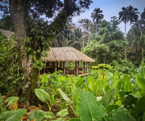 Aerial view of the reception house at Sundy Praia, nearly hidden by the lush rainforest vegetation.