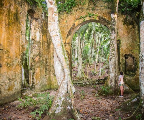 Mystic trail through the dense forest in Príncipe Island.