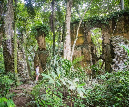 Lush jungle on Príncipe Island