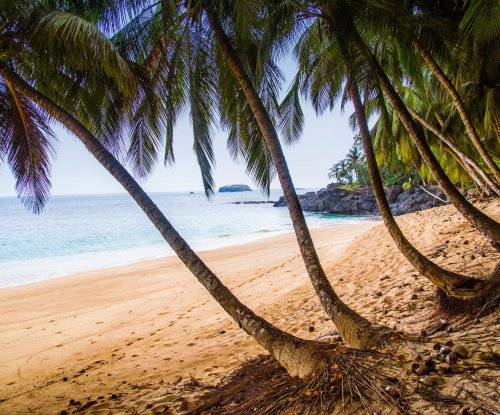 Palm-fringed Praia Boi beach on Príncipe Island, golden sand and calm sea for a quiet swim