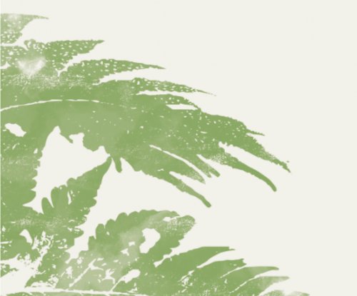 Artistic illustration of green palm leaves from the Príncipe Collection Hotels.