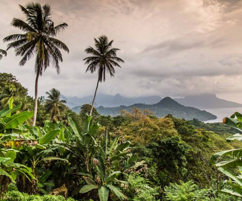 View over São Tomé Island with dense rainforest vegetation, volcanic hills, and the sea in the background.