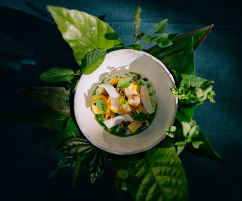 A Taste of São Tomé and Príncipe: Cacao Plantation Tours and Local Culinary Delights