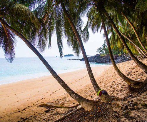 A row of palm trees with the tropical beach and crystal-clear water behind at Praia Boi Beach.