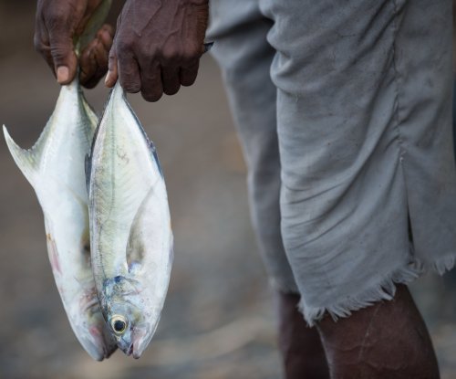 Fisherman holding freshly caught fish, Príncipe Island