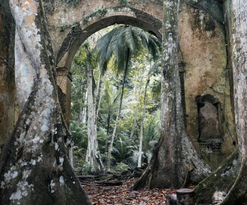 Ruins of the Ribeira Izé church with ceiba trees growing between the stone walls, Príncipe Island
