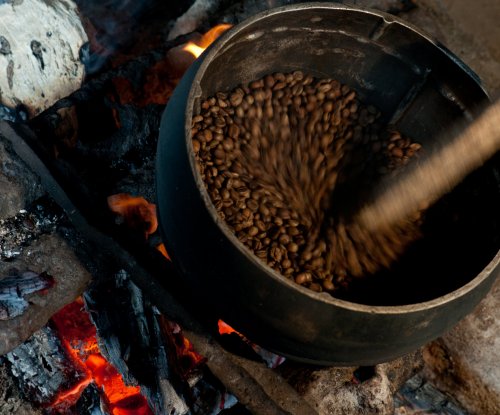 Coffee beans being roasted in a pot over a wood fire, Príncipe Island
