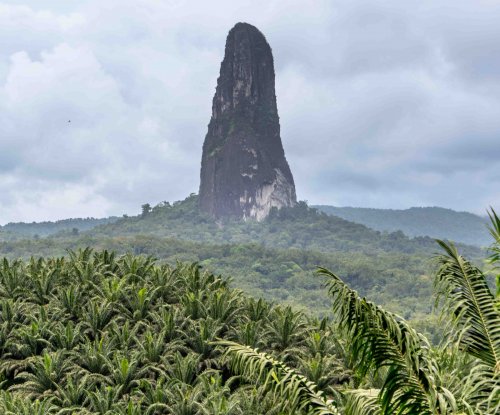 Close-up view of Pico Cão Grande volcanic tower above palm plantations and rainforest, São Tomé Island