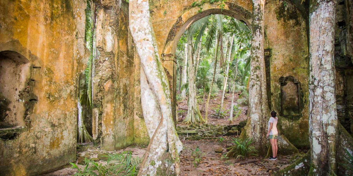 Mystic trail through the dense forest in Príncipe Island.