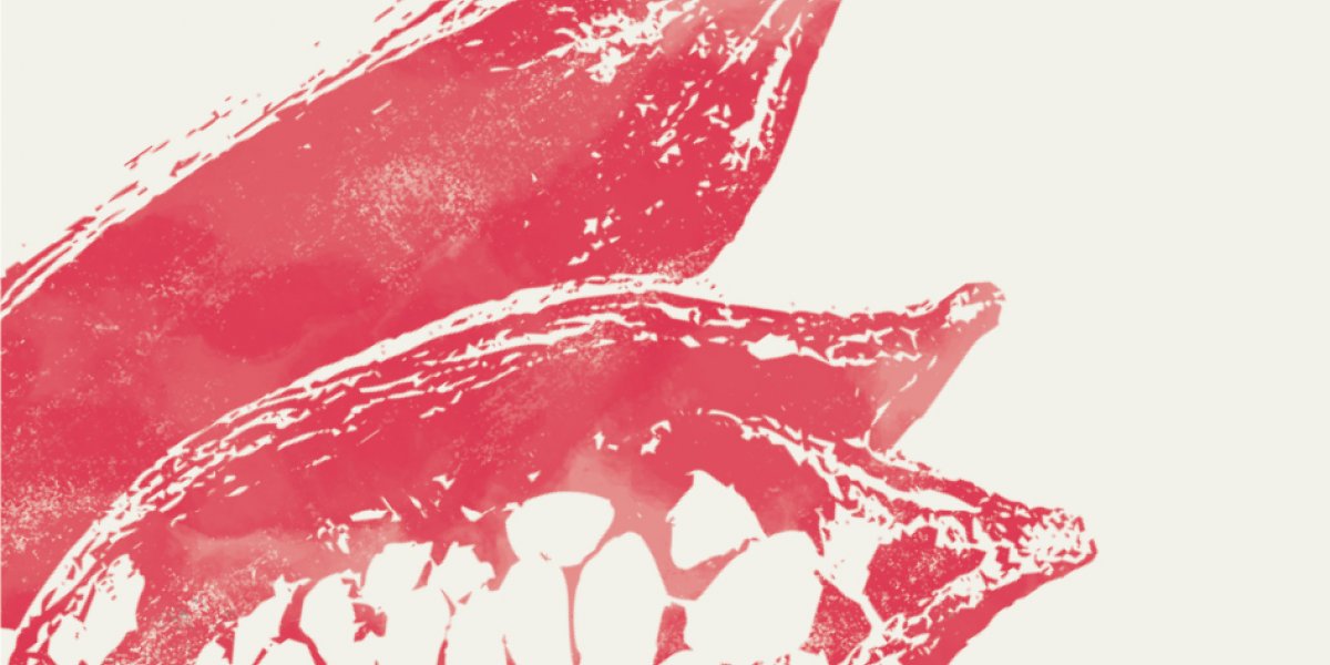 Artistic illustration of a red open cocoa fruit from the Príncipe Collection Hotels.