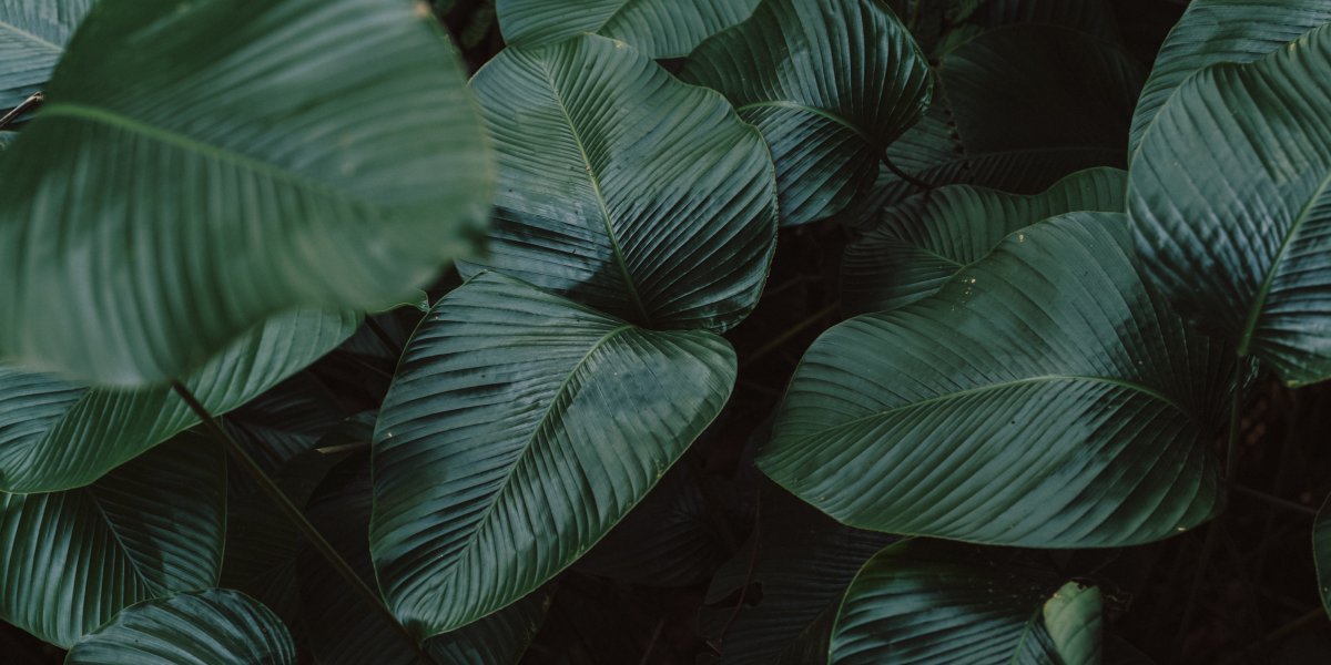 - 15 % Off during our Secret Season