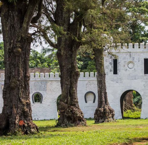 Ruins of an old stone building surrounded by lush greenery