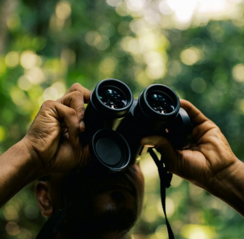 Person standing in a jungle using binoculars