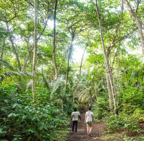 Two people hiking through the lush forest of Príncipe Island