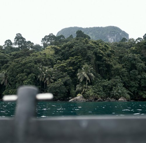 Rainforest-covered coastline with a rocky peak in the background seen from a boat, Príncipe Island