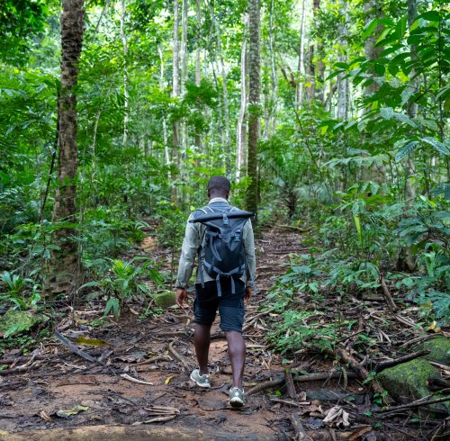 Local guide walking through the dense Príncipe forest
