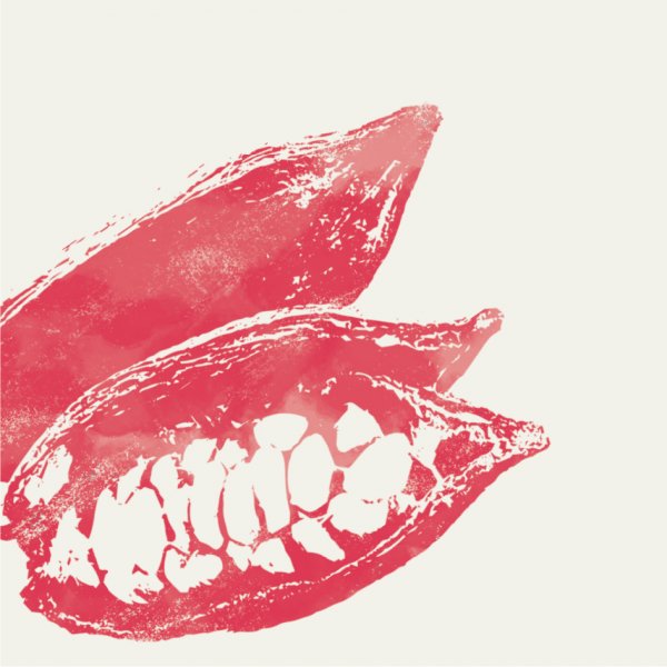 Discover the real character of Príncipe