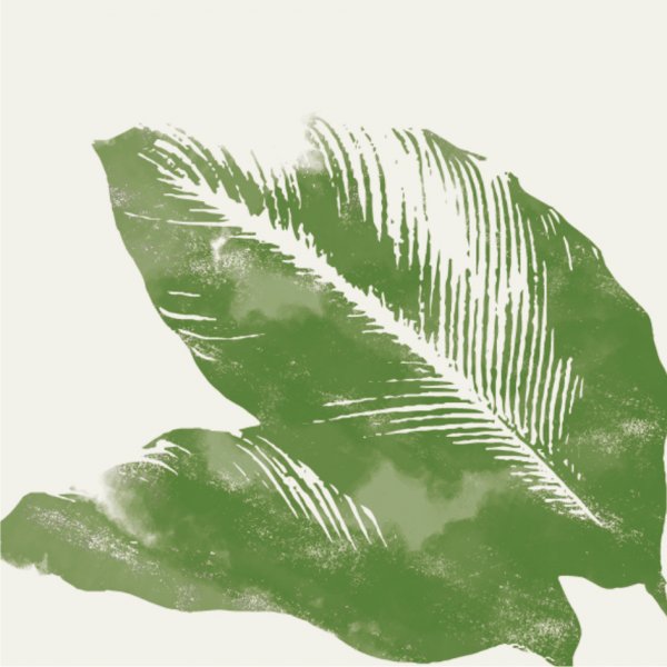 Discover the real character of Príncipe