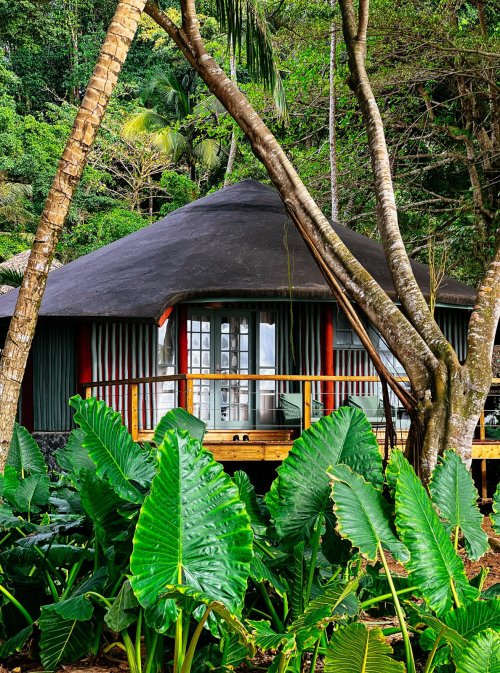 Exterior view of a Bom Bom bungalow with thatched roof and wooden veranda, surrounded by tropical rainforest, Príncipe Island